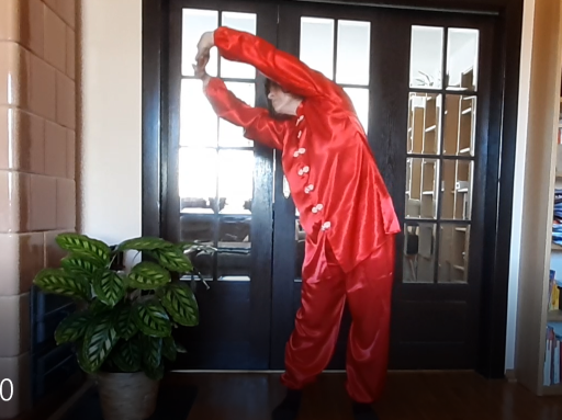 Homeschooling qigong