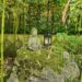 Zen-Meditation