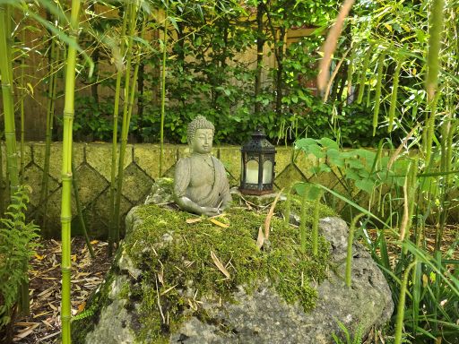 Zen-Meditation
